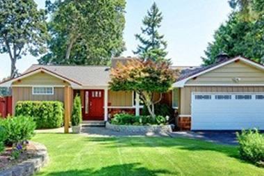 Tree-Care-Bellevue-WA
