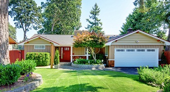 Tree-Care-Snoqualmie-WA