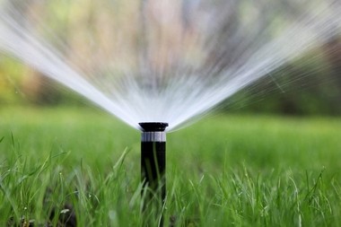 Winterize sprinkler system in Bellevue WA near 98005