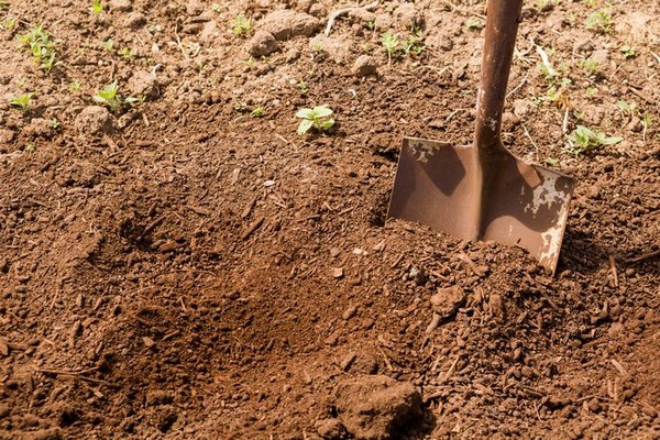 Yard-Renovation-Des-Moines-WA
