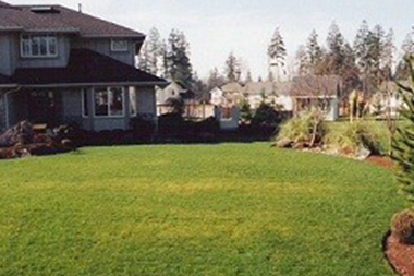artificial-grass-bellevue-wa