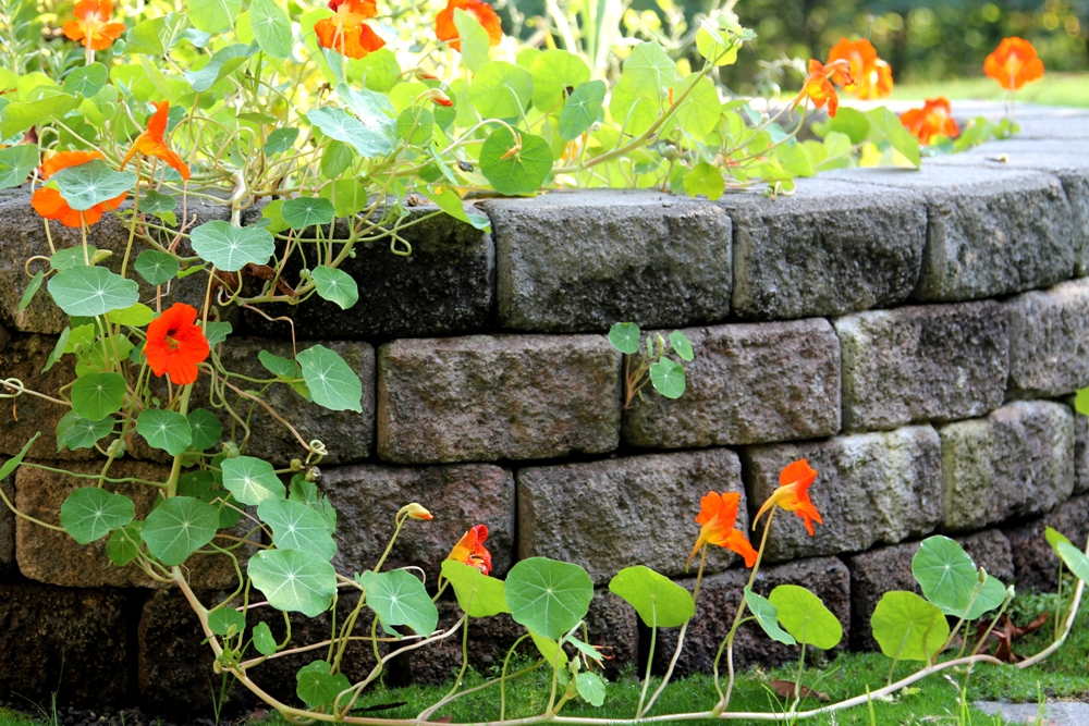 brick-retaining-wall-edgewood-wa