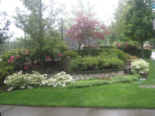 Expert Southcenter commercial landscape maintenance in WA near 98188