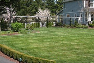 fall-yard-clean-up-auburn-wa
