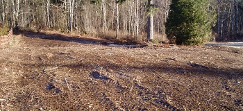 Grass-Hydroseeding-Edgewood-WA