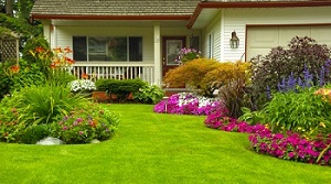 Irrigation-Sprinklers-Installation-Issaquah-WA