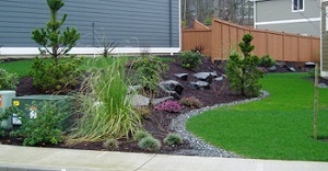 Irrigation-Sprinklers-Installation-Renton-WA