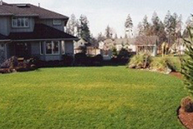 Irrigation-System-Bellevue-WA