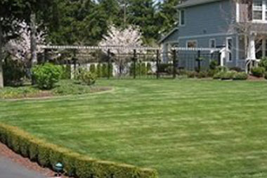 Irrigation-System-Buckley-WA
