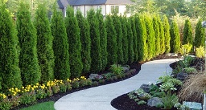 Irrigation-System-Lakeland-Hills-WA