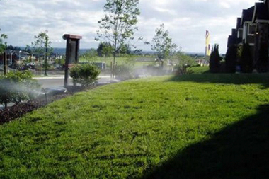 Irrigation-System-Repairs-Bellevue-WA