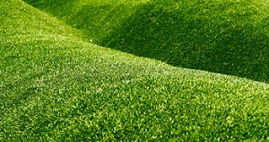 Irrigation-System-Sammamish-WA