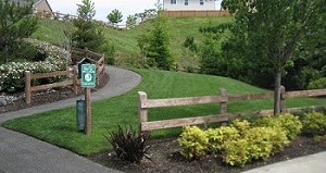 Irrigation-System-Snoqualmie-WA
