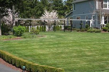 Landscape-Designer-Buckley-WA