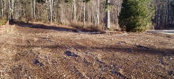 Lawn-Hydroseeding-Buckley-WA