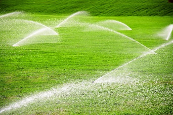 Lawn-Irrigation-Fairwood-WA