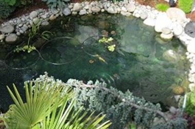 Lawn-Maintenance-Auburn-WA