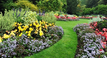 Lawn-Maintenance-Edgewood-WA