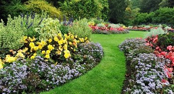 Lawn-Service-Buckley-WA