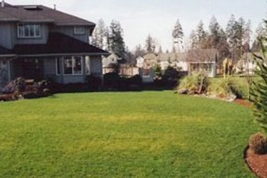 Lawn-Service-Clyde-Hill-WA