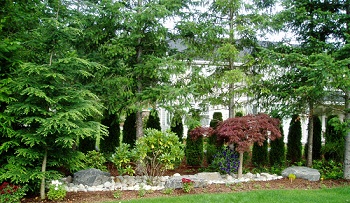 Lawn-Service-Issaquah-WA