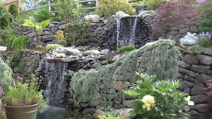 Lawn-Service-Sammamish-WA
