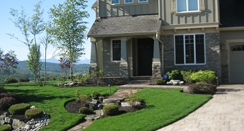 Plant-Services-Des-Moines-WA