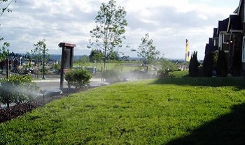 Sprinkler-System-Installation-Enumclaw-WA