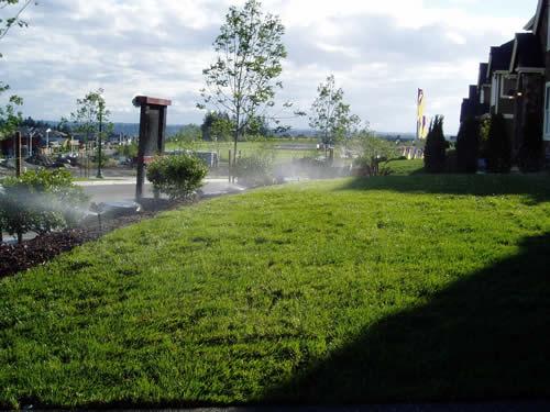 Sprinkler-System-Repair-North-Bend-WA
