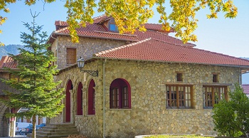 tree-care-hobart-wa