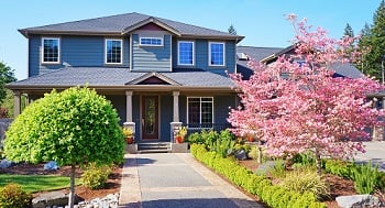 yard-clean-up-federal-way-wa