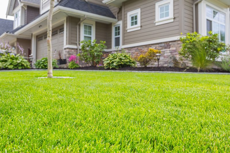 Landscape-Design-Kirkland-WA