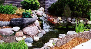 Rock-Garden-Kirkland-WA