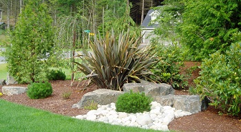 Lawn-Care-Klahanie-WA