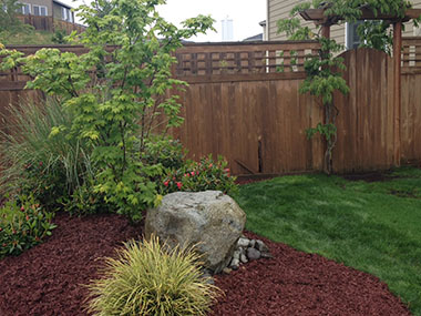 Best Black Diamond debris removal in WA near 98010