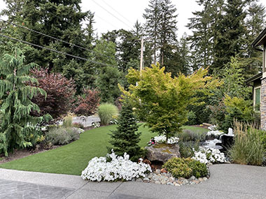 Black Diamond yard clean up services in WA near 98010