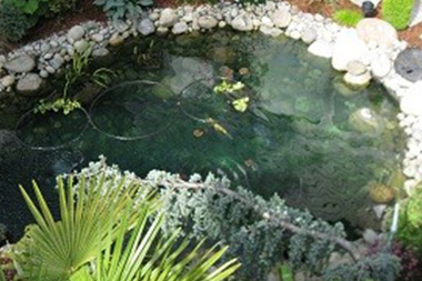 Auburn Rock Garden