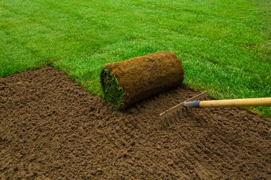 Bonney Lake Sod Grass