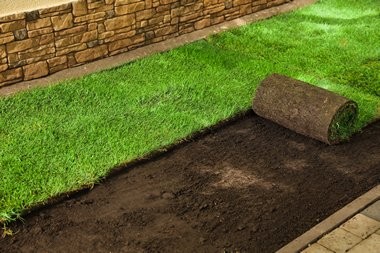 Bonney Lake Sod Installation