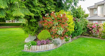 Edgewood Botanical Garden Creation
