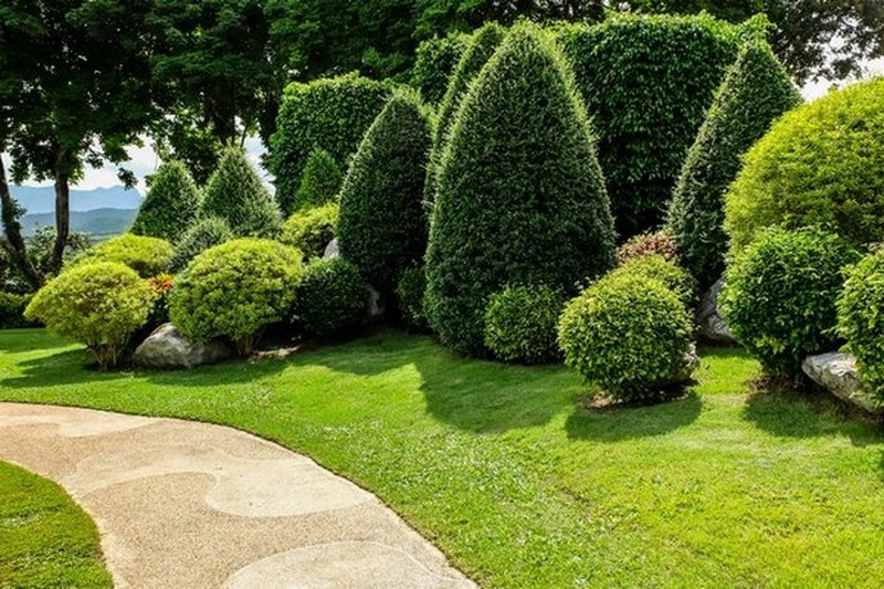 Edgewood Edible Landscape Design