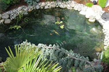 Hobart Water features