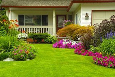 Lake Tapps Landscape Design