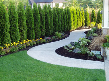 Lake Tapps Landscape Designer