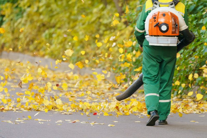 Mercer Island Leaf Clean Up