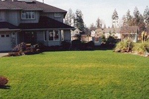 Newcastle Backyard Makeover