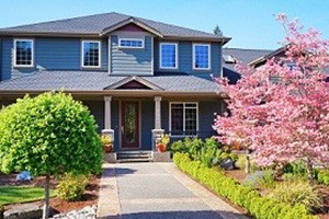 Newcastle Landscape Renovations