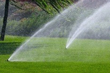 Normandy Park Irrigation Sprinkler