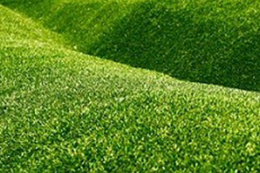 Normandy Park Irrigation System