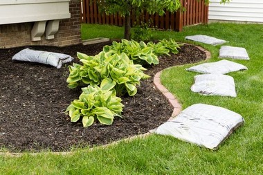 Renton Backyard Landscaping